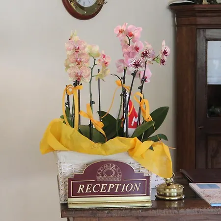 Hotel Admiral Erme